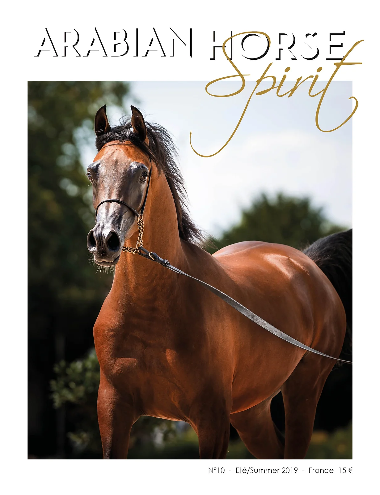 Arabian Horse Spirit nº10