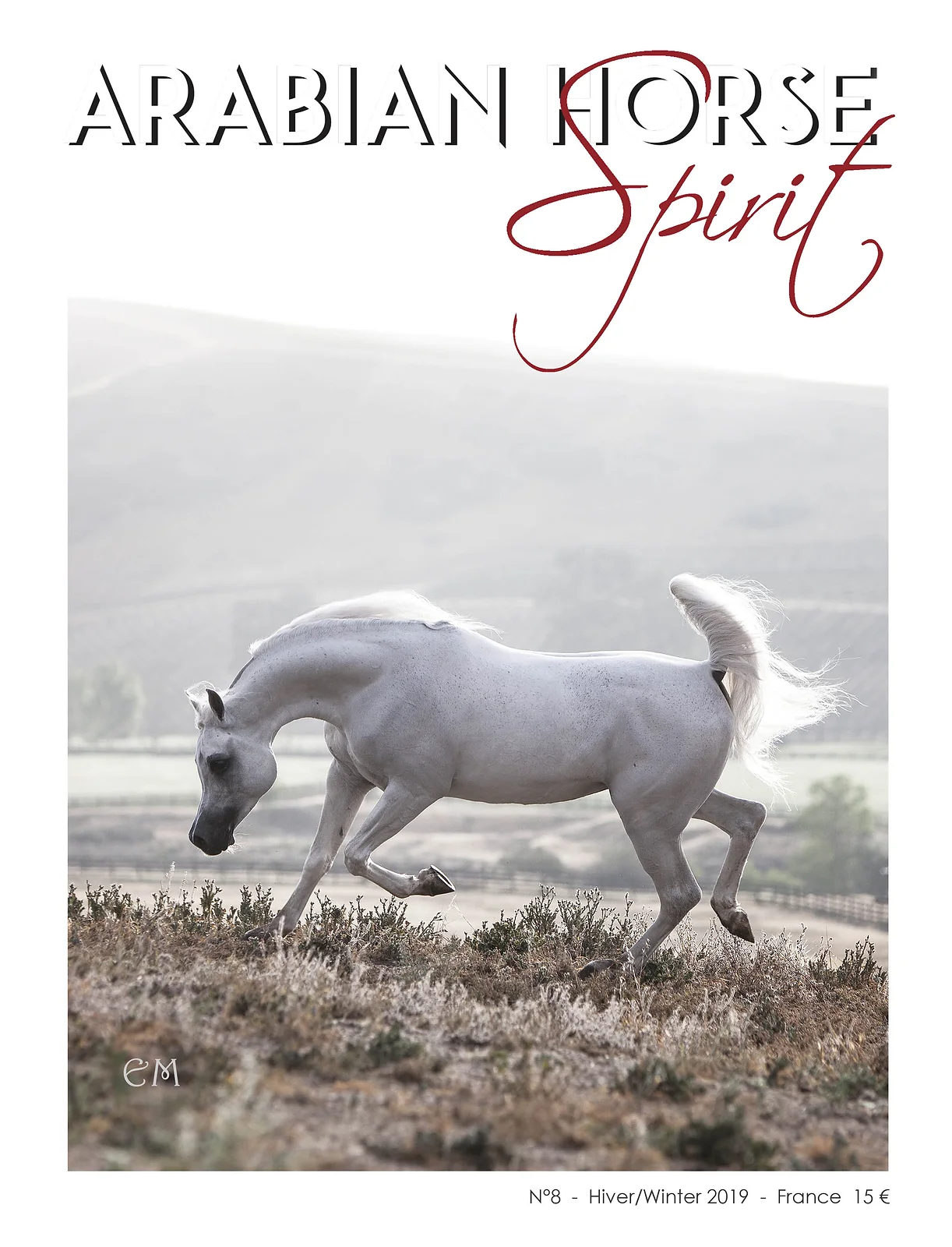 Arabian Horse Spirit nº8