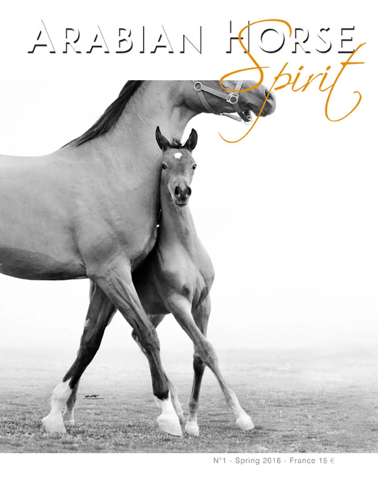 Arabian Horse Spirit nº1