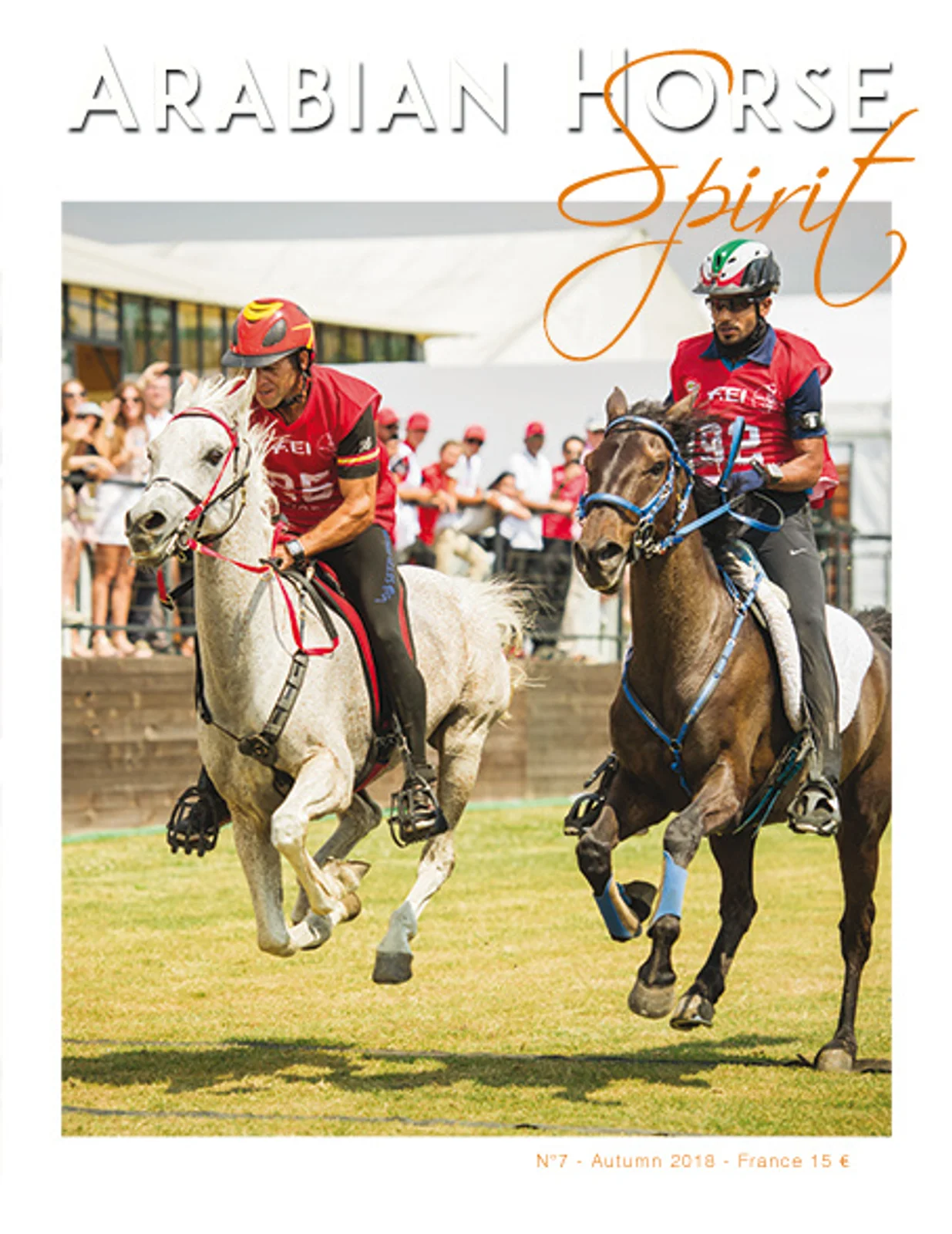 Arabian Horse Spirit nº7