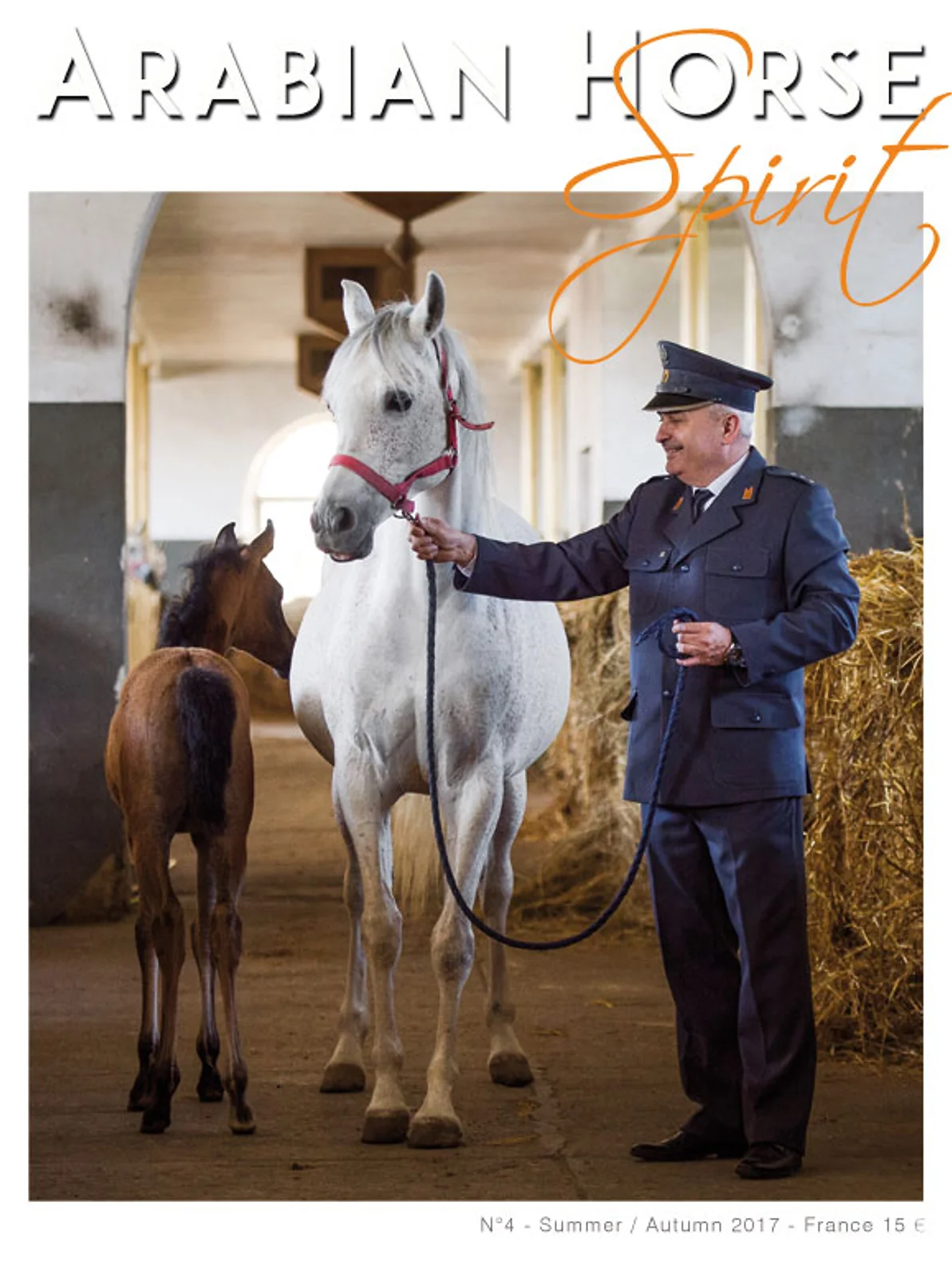Arabian Horse Spirit nº4