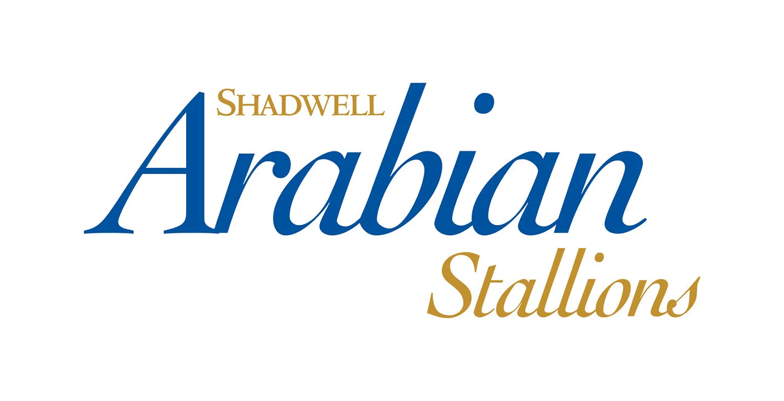 SHADWELL Arabian Stallions Logo MASTER C