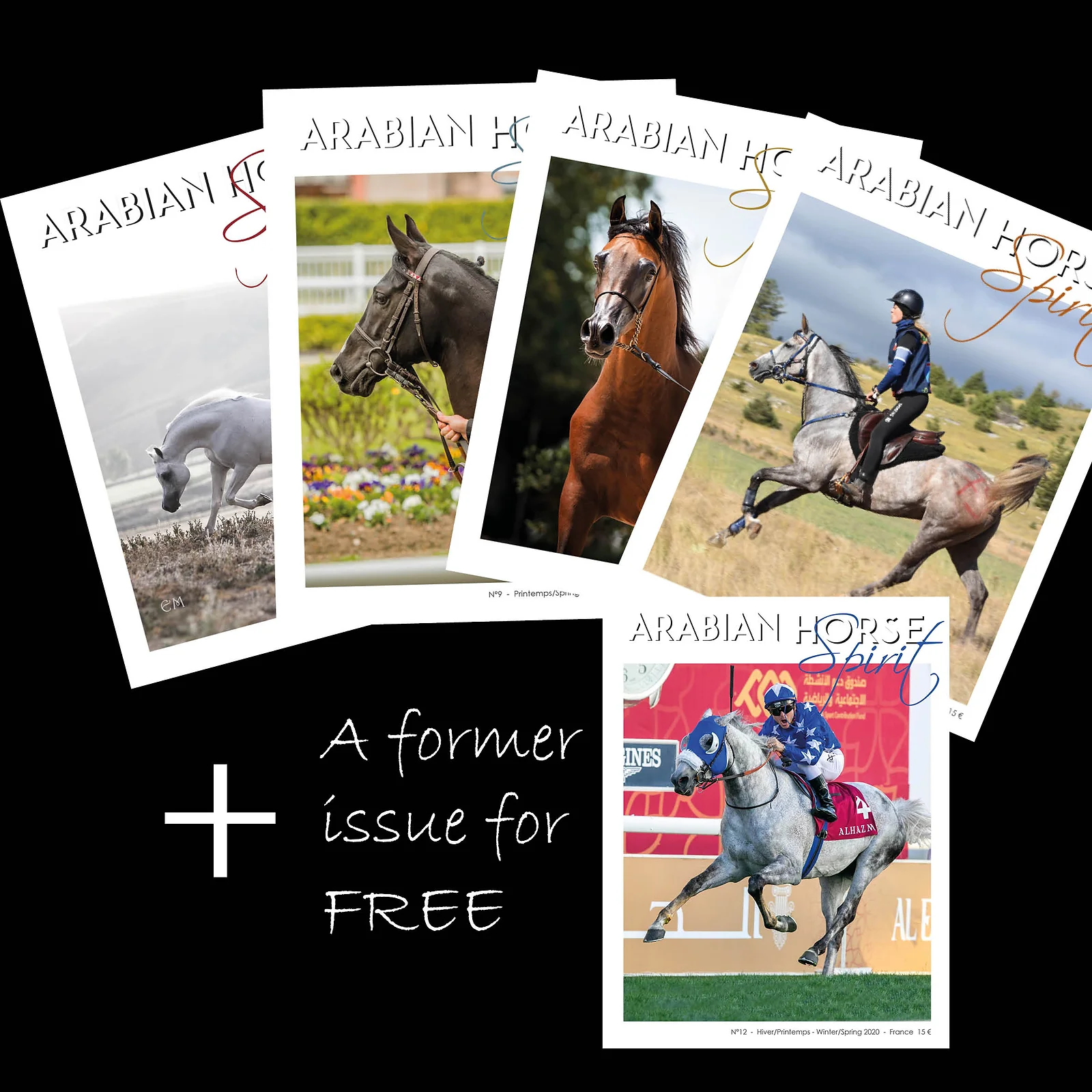 Abonnement 4 numéros / Subscription 4 issues