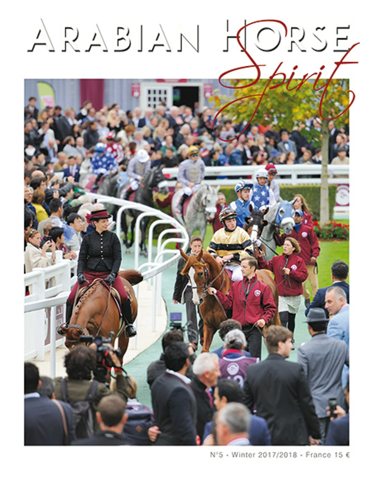 Arabian Horse Spirit nº5