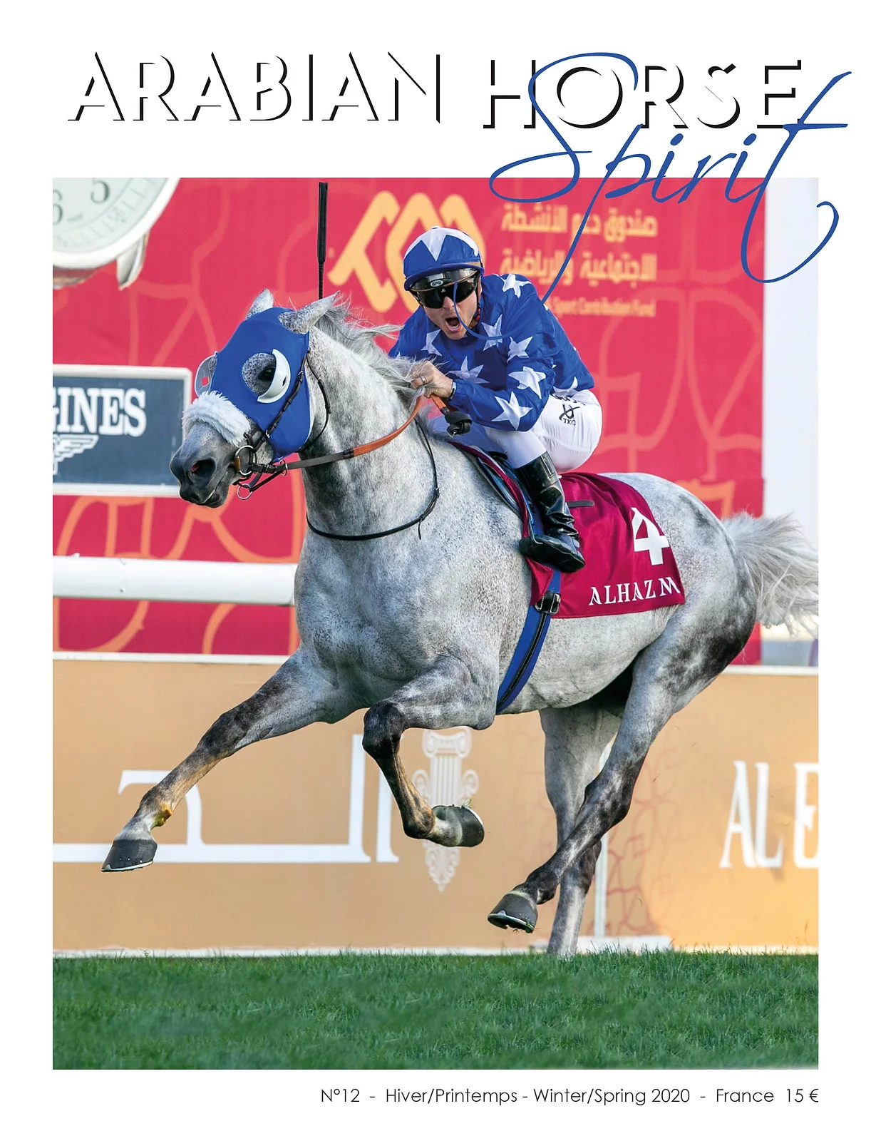 Arabian Horse Spirit nº12