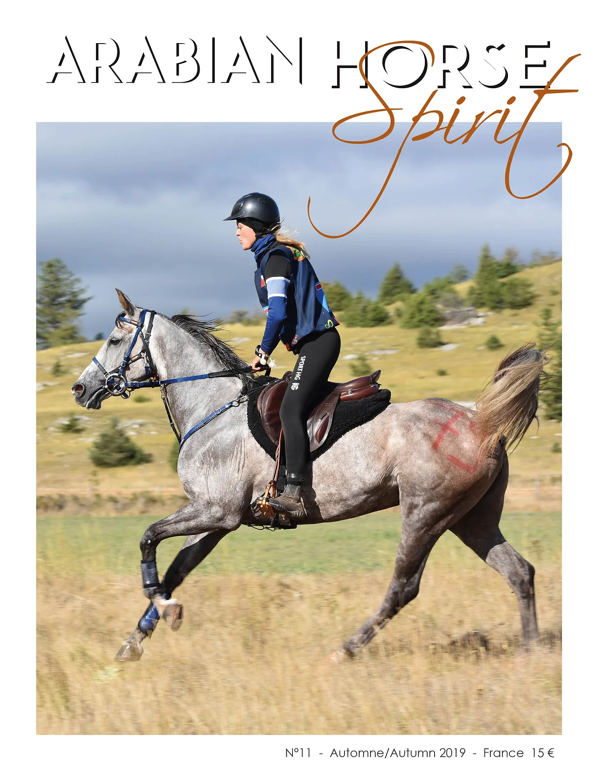 Arabian Horse Spirit nº11