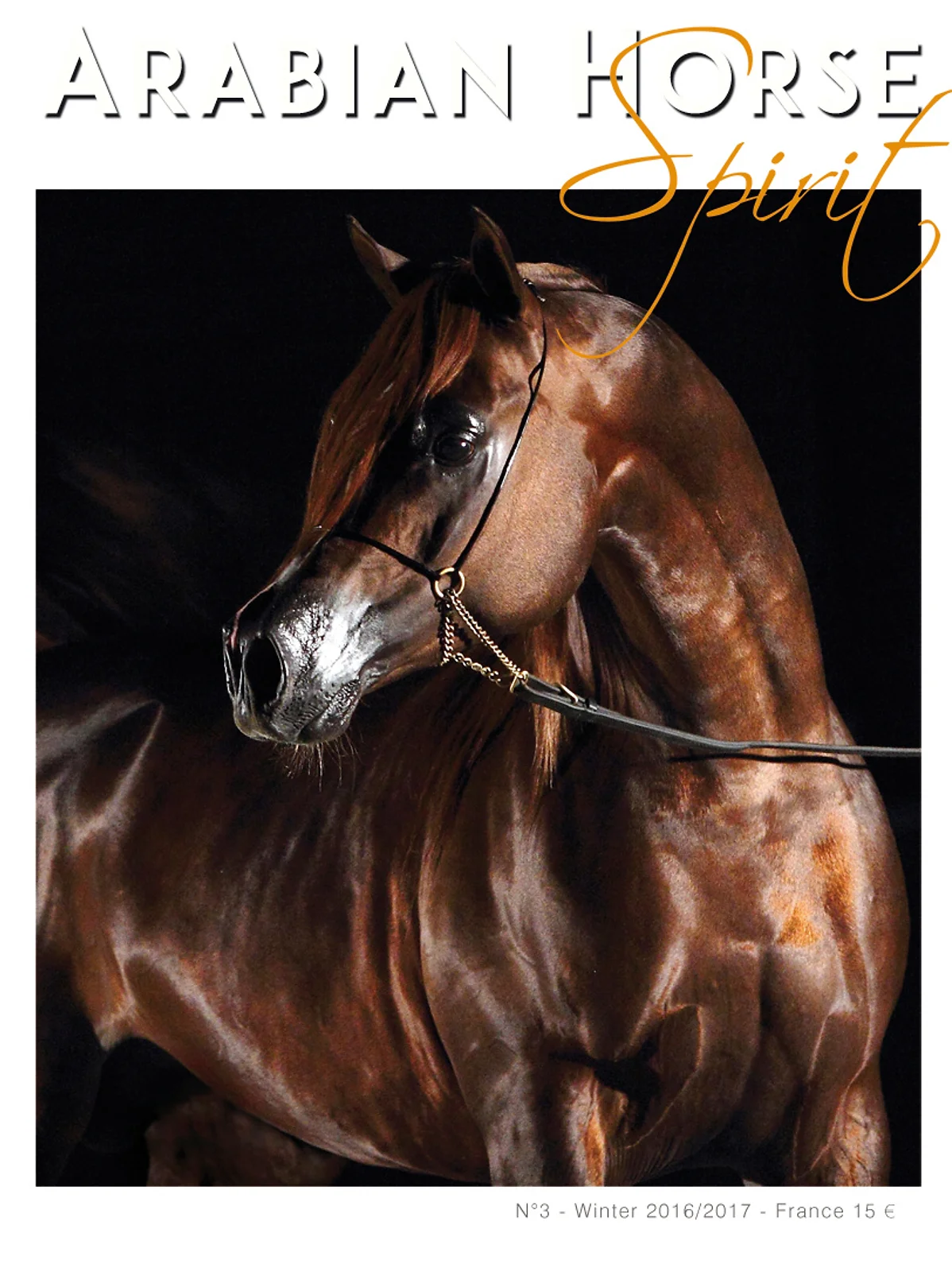 Arabian Horse Spirit nº3