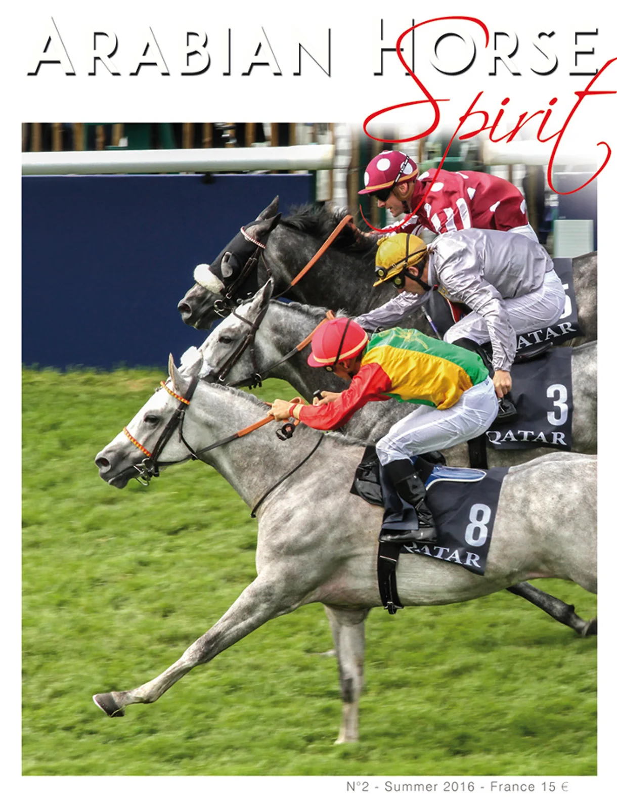 Arabian Horse Spirit nº2