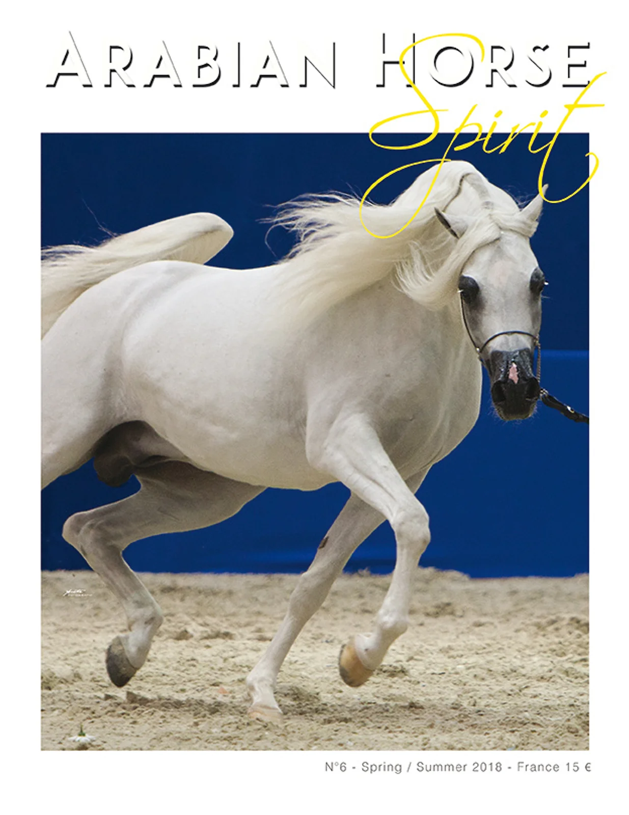 Arabian Horse Spirit nº6